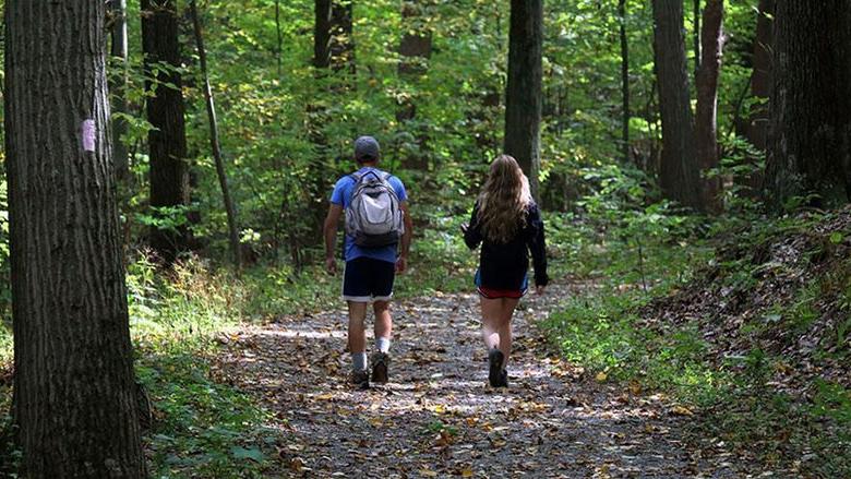 Backpacking on a path in the woods